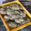 New Construction Material - Image 4